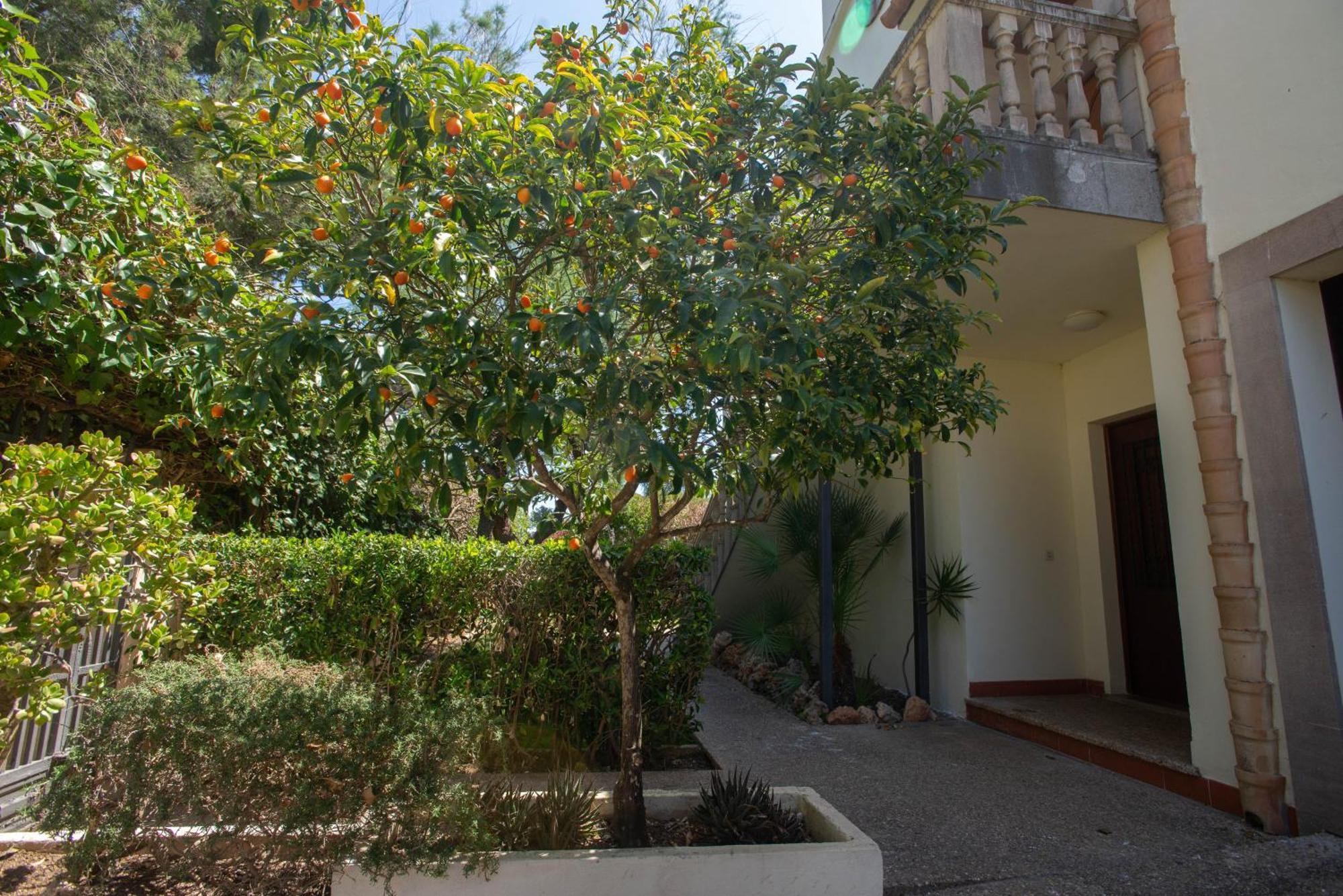 Apartment Sea Horse Oasis Playa de Muro (Mallorca)